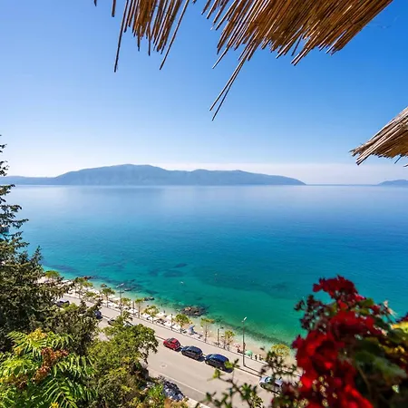 Palm Olive - Happy * Vlorë
